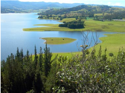 Paisaje Colombiano